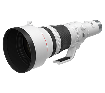 RF800mm f/5.6L IS USM