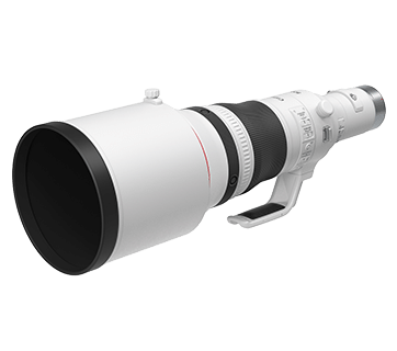 RF800mm f/5.6L IS USM