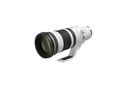 RF100-300mm f/2.8L IS USM