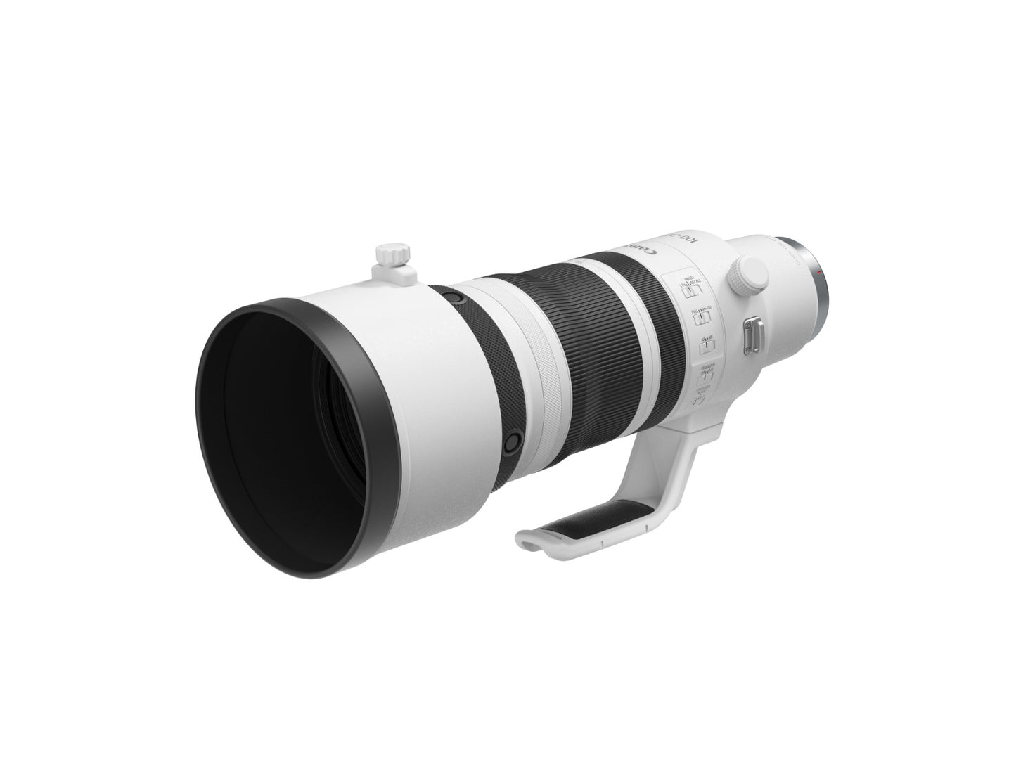 RF100-300mm f/2.8L IS USM