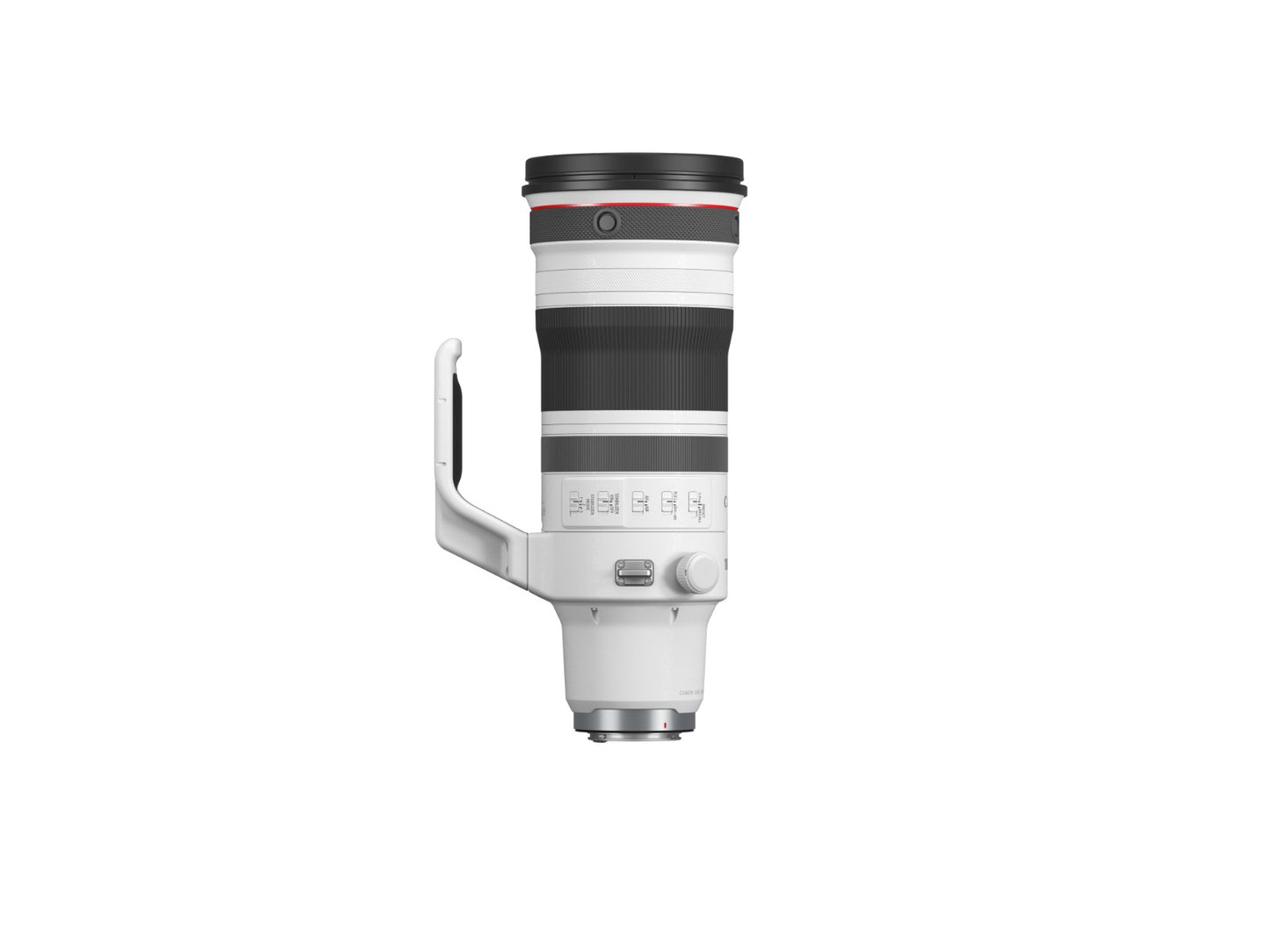 RF100-300mm f/2.8L IS USM