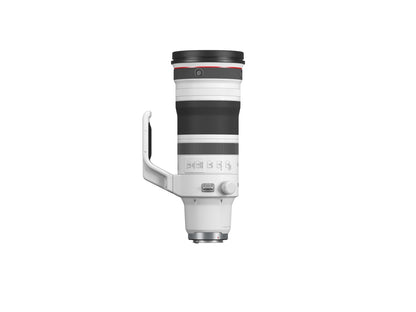 RF100-300mm f/2.8L IS USM