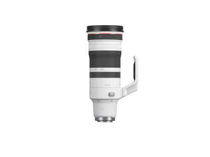 RF100-300mm f/2.8L IS USM
