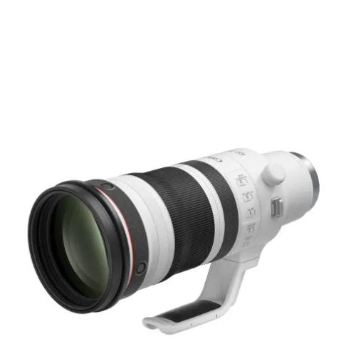 RF100-300mm f/2.8L IS USM