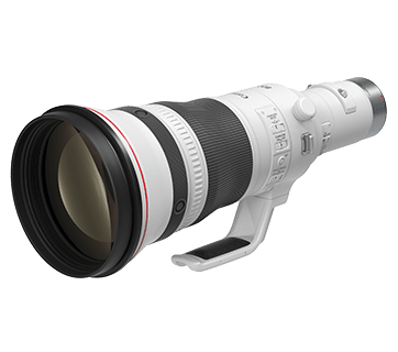 Canon RF800mm f/5.6L IS USM