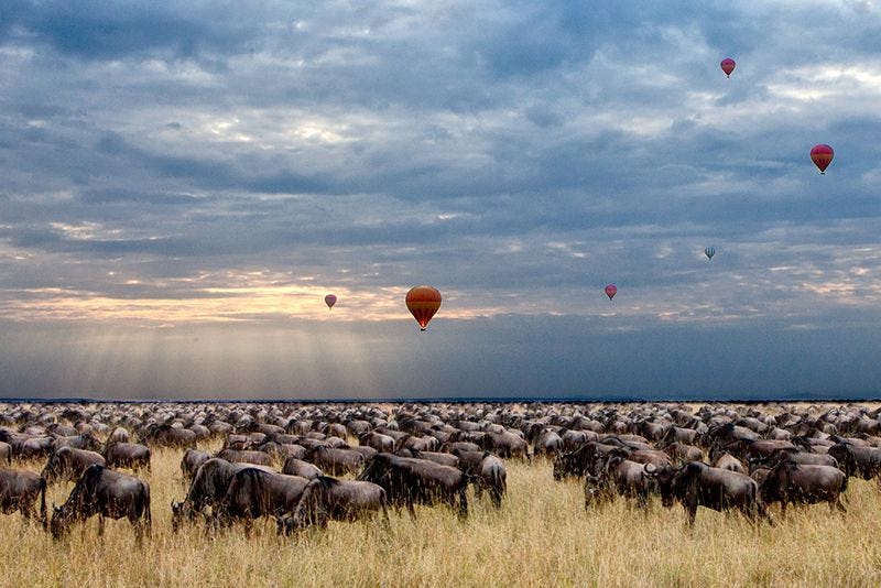 Africa Balloon Safari Travel Landscape on Premium Canvas Print (Travel Landscape_07)