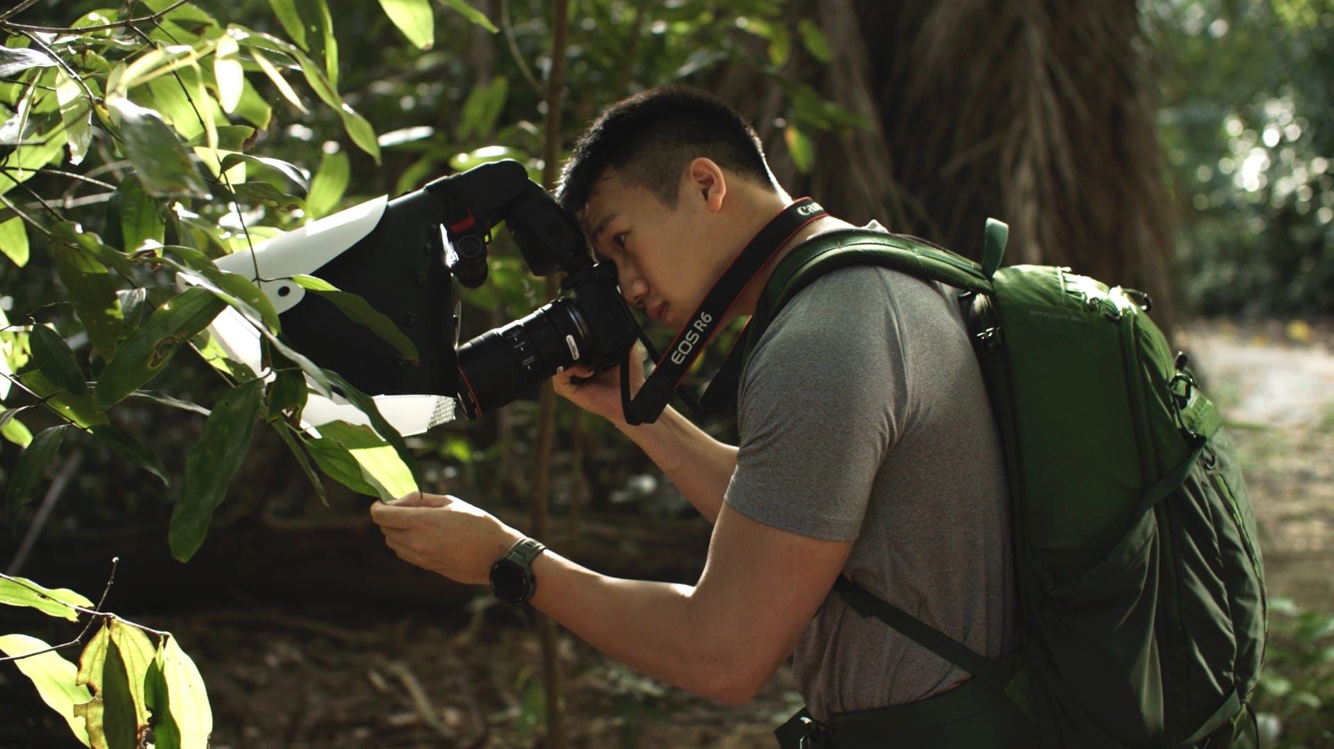 Lenz Lim shooting a garden spider on a big leaf