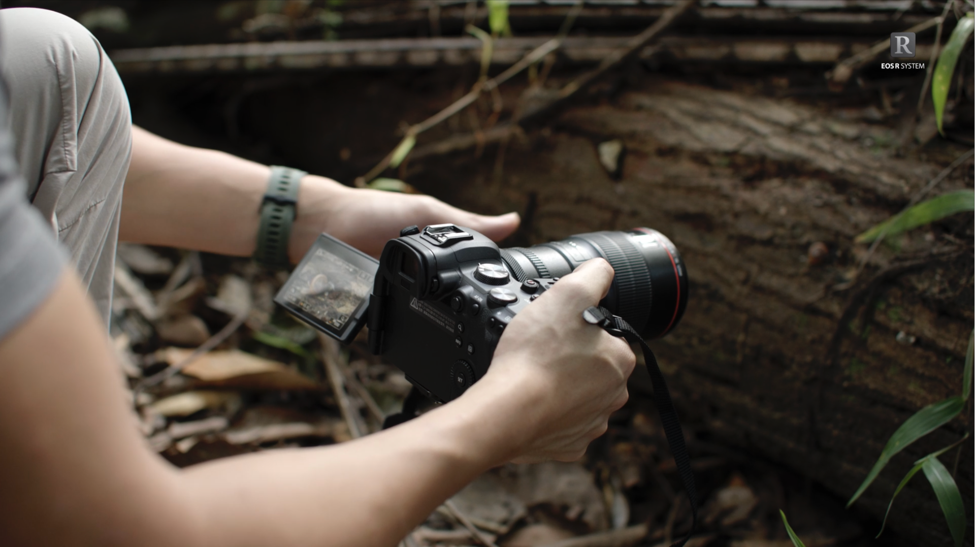 Lenz Lim using the Canon EOS R6 with an adjusted Vari-angle LCD screen