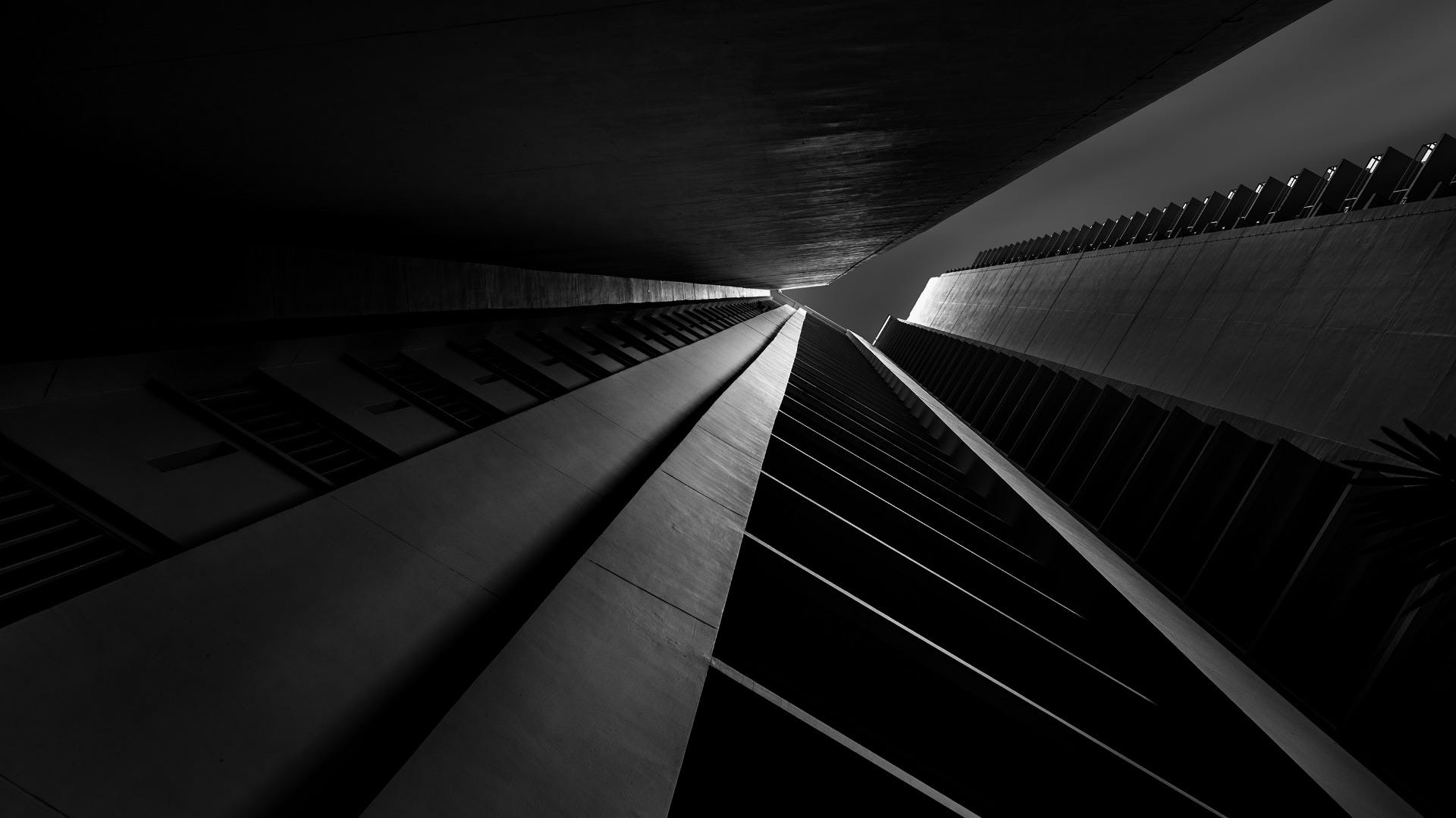 Black & White Fine Art Photography demonstrating Bug’s Eye View Perspective